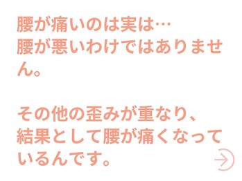 ダリア 甲府昭和(Dahlia)/