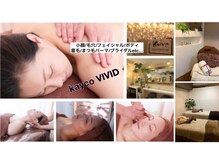 ケイコビビッド(Kayco VIVID)