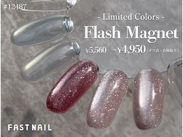 *先着順*マグネット/フラッシュ