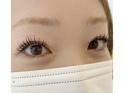 シャラアイラッシュ(Shara eye lash)の写真