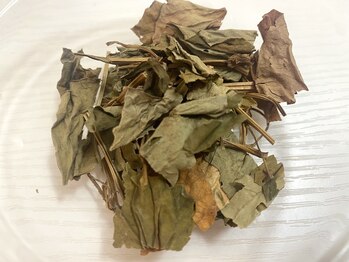 カランコエ(KALANCHOE)/〈黄土〉よもぎ蒸し/ニキビケア