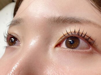 ザラボアングゥ(The Labo ungu)/【まつげパーマ】