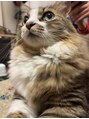 エトワ ル リアン ネイル(Et toi Le Lien nail) 猫好きネイリストです!!