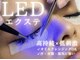 エルビリア(ELVIREA)の写真/LEDエクステで、モチの違いを実感◎