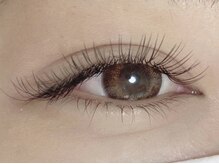 シャトン(chaton)/フラットラッシュ160本