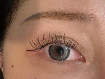 ソラ(Sora.)/バインドロック　80束【小岩】