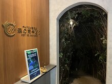 森の雨やどり/森に入るような感覚、、、