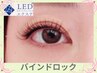《最新技術×高持続》LED＋バインドロック80束～　¥8000