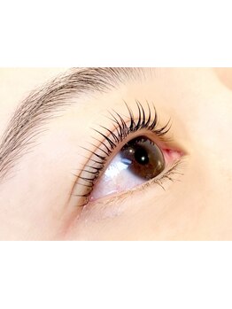 初めての方にオススメ