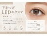 単品　下まつげLEDエクステ　1本200円 
