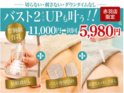 美人バスト 赤羽店の写真