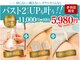 美人バスト 赤羽店の写真