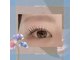 アルセ(arce)の写真