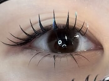 アルディ(hardi)/トゥリメルラッシュ