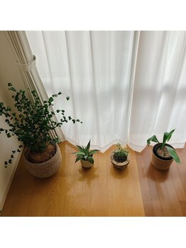 リリーボワ(LillyBois)/日向ぼっこ