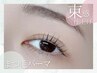 《韓国風×束感仕上げ》上まつ毛パーマ(Sh・Tｒ付) ¥6990→¥5990