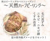 デマントイド(Demantoide&Co)