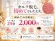 ビーブルーム(BeeBloom)の写真