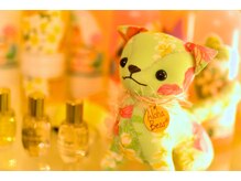 ハワイアンフォレストSpa 新横浜店/ハワイのパワーが詰まった店内