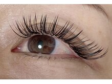 シャトン(chaton)/Ｗフラットラッシュ120束