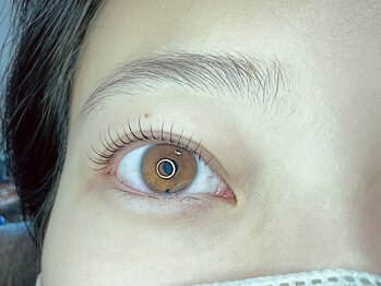 セン(SEN)/LASH LIFT