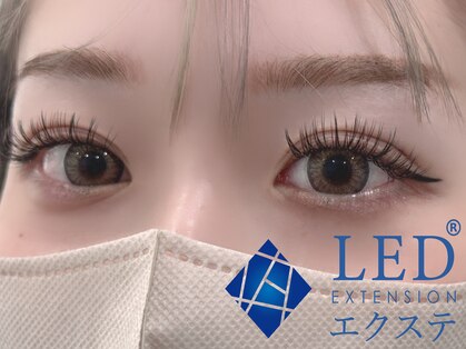 メルシー(Merci)の写真