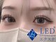 メルシー(Merci)の写真