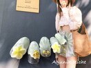 【プルメリアネイル】