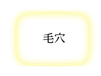 ラビエス(LAVIES)/ハーブピーリング専門店LAVIES