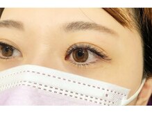 ルピナス(Lupinus)/ボリュームラッシュ600本下30本