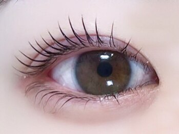 ガーデン 天神大名店(GARDEN)の写真/大人女性向け★ナチュラル上品なのに存在感のある上向きまつげに♪【まつげパーマ/パリジェンヌ￥4000～】