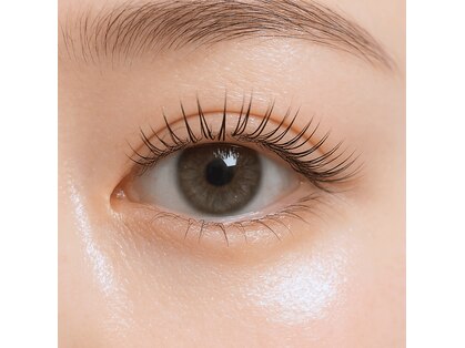 フェリス(Feliz)の写真