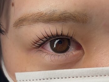 ハリウッドブロウリフト ワクシー 下北沢店(HOLLYWOOD BROW LIFT WAXYYY.)/パリジェンヌラッシュリフト