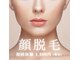 リノ(lino)の写真