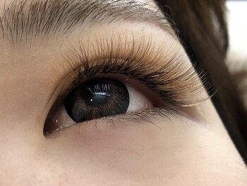 トイロ(Toiro)/メーテルデザイン