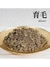【頭皮汚れ/臭い/抜け毛/細毛】若よもぎ濃縮育毛促進シャンプー&頭浸浴スパ