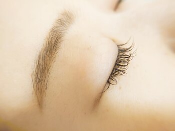 エステティックサロン プリマドール(prima doll)/美眉　アイブロウデザインWAX