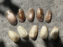 ブラウンネイル(brown nail)