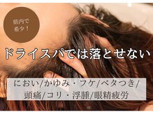 フーラ(B.hoola)