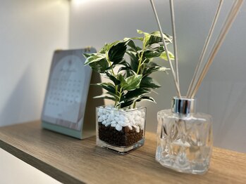 ヒトハリ鍼灸整体院(HITOHARI鍼灸整体院)/フレッシュグリーンの香り