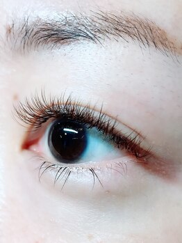 ハピネス(HAPPINESS)/ボリュームラッシュ500本