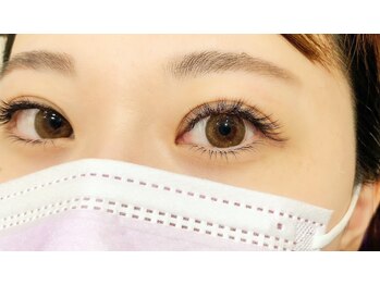 ルピナス(Lupinus)/ボリュームラッシュ600本下30本