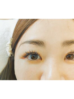 ネリネ(Nerine)/シアブルー