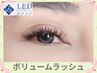 《最新技術×高持続》 LED＋ボリュームラッシュ300本～　¥7000