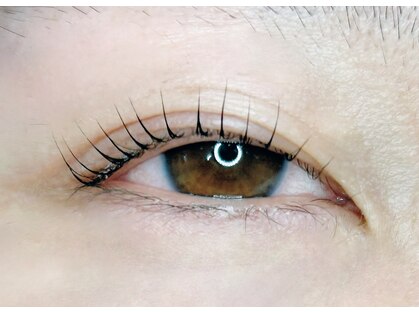 まつ毛サロン Linkの写真