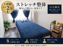 タナゴコロ整体院(TANAGOKORO整体院)の雰囲気(上野駅前サロン個室)