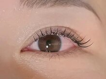 ジャスミンラッシュ(Jasmine Lash)/フラットラッシュ100本