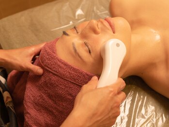 縁(Zen enishi)/2.エレクトロポレーション導入