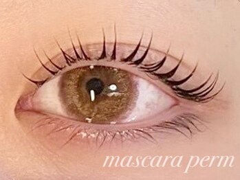 プラスエリマ 四日市(Plus Elima)/マスカラパーマ &nbsp;四日市