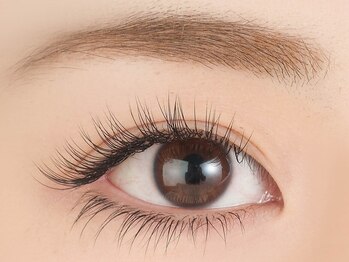 マキア 御殿場店(MAQUIA)/ 上150本